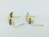 10k Yellow Gold Shell Stud Earrings